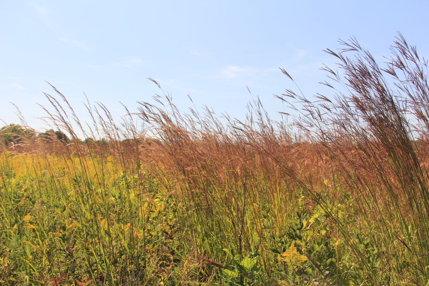 Calumet River Trail Hike 